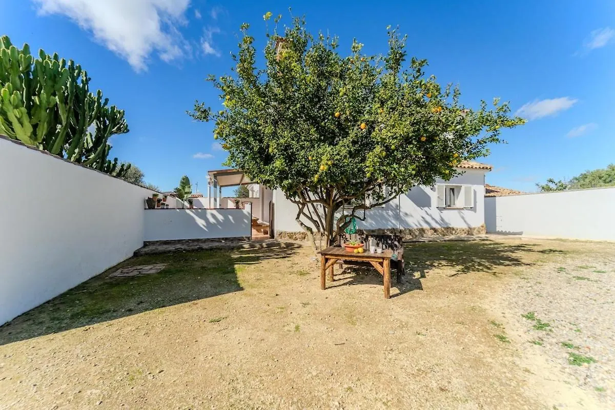 Apartment Casa Luisa 2 Ruhig Zitronenbaum Natur Conil De La Frontera